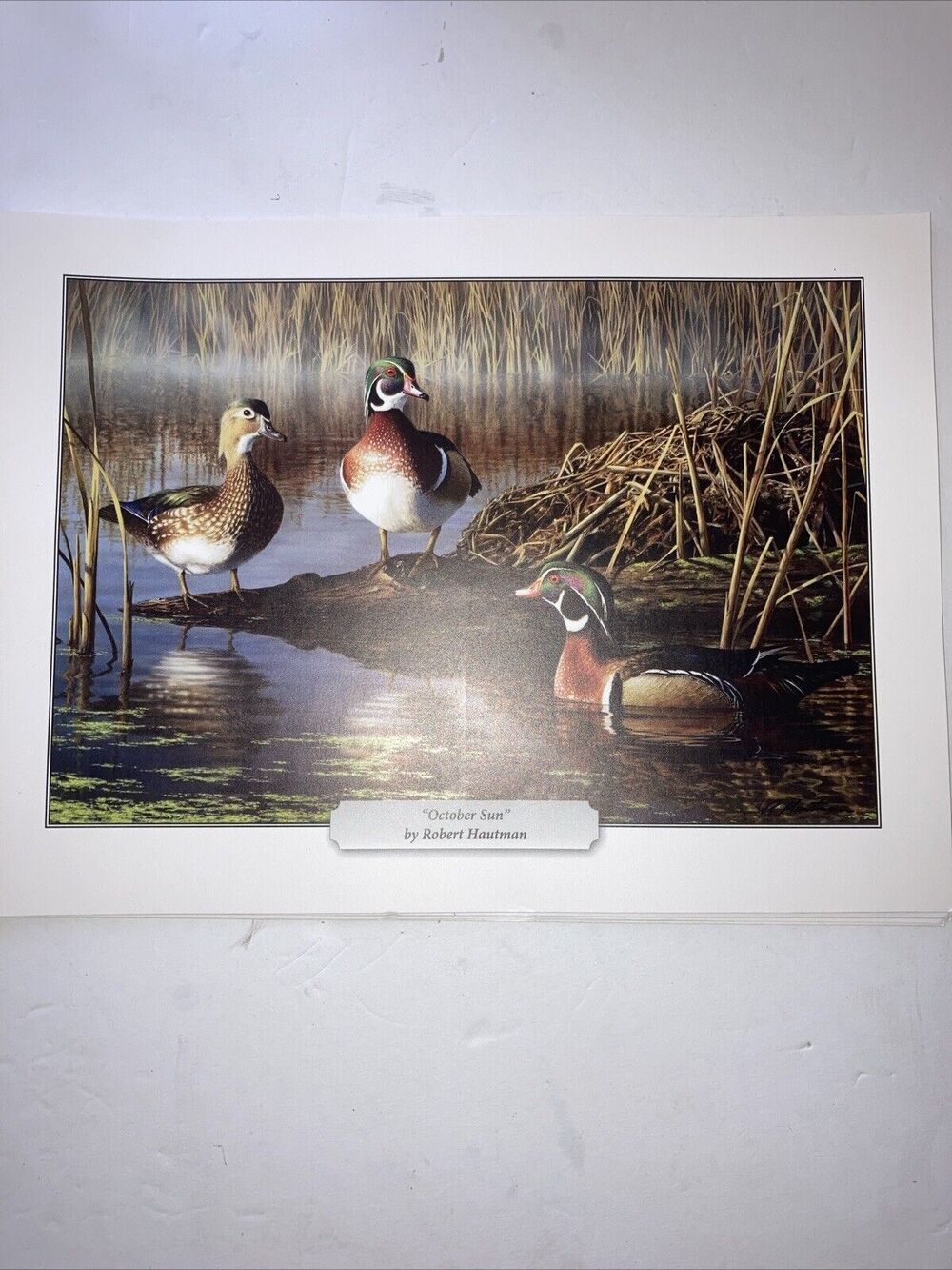 “October Sun” Ducks Print By Robert Hautman 8.5” X 11” Print Only
